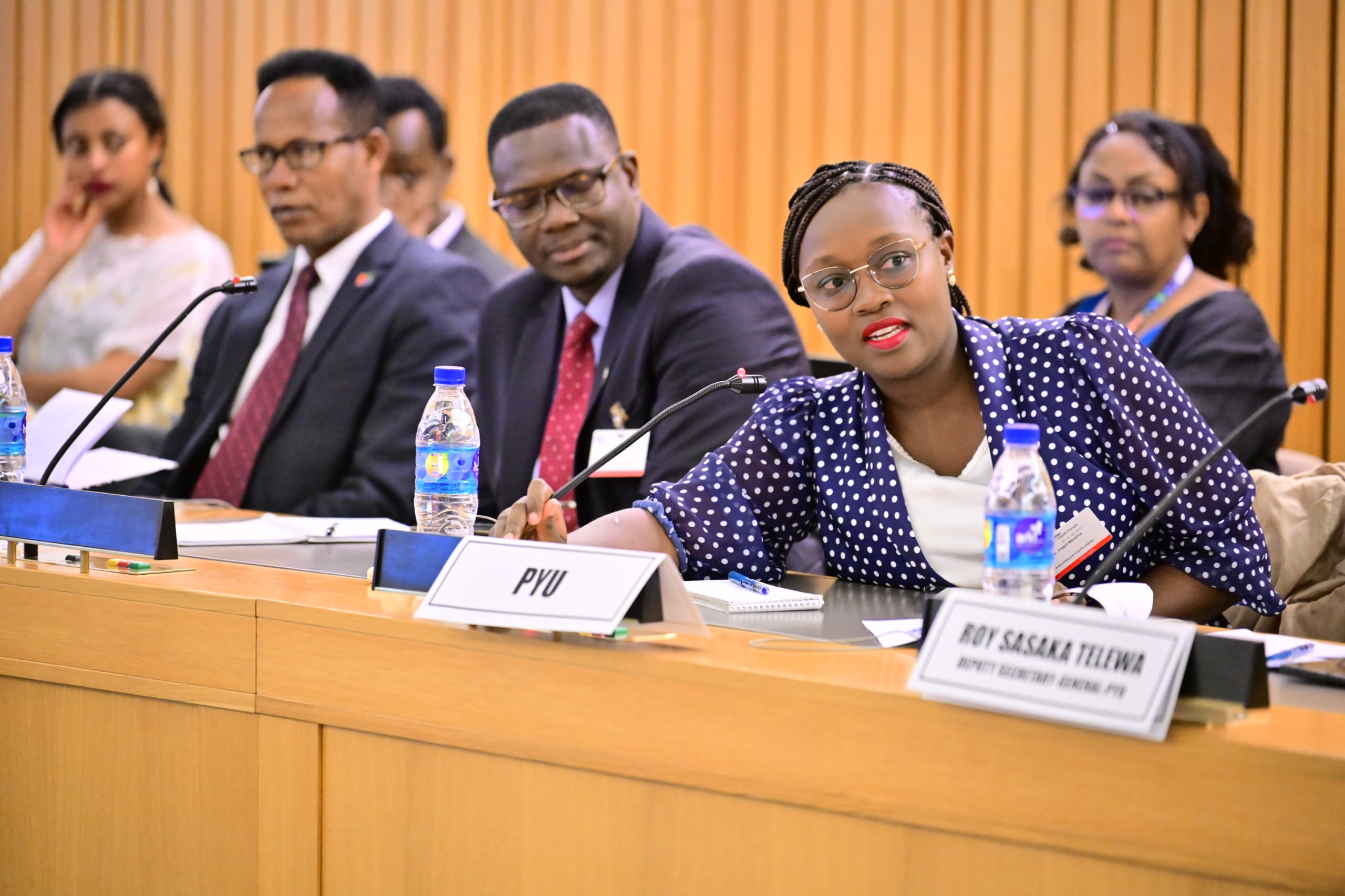 African Youth Consultative Forum on UN Summit of the Future 2024 