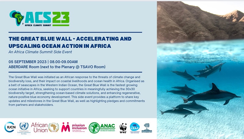 The Great Blue Wall - Accelerating and upscaling Ocean Action in Africa