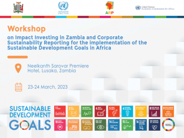 Workshop on impact investing in Zambia and corporate sustainability reporting for the implementation of SDGs in Africa