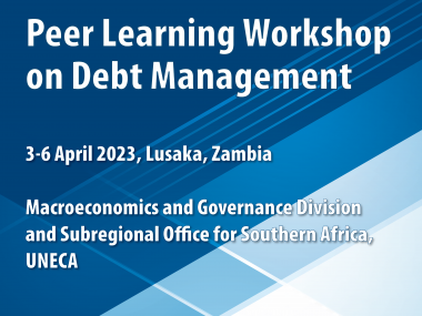 Peer-learning - Debt Management Strategies