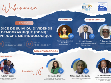 Webinaire - Indice de suivi du dividende démographique : Approche méthodologique