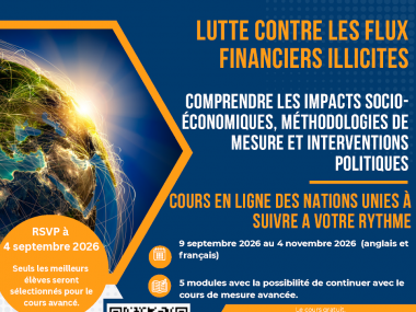 Lutte contre les flux financiers illicites : Comprendre les impacts socioéconomiques, méthodologies de mesure et interventions politiques