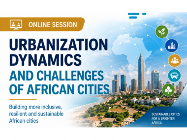 Webinar - Urbanization dynamics and challenges of African cities