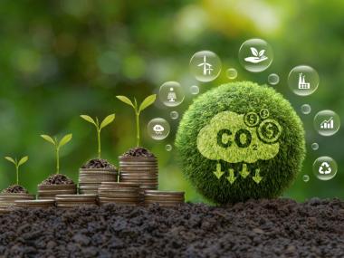 First UNFCCC Focal Point and Stakeholder Meeting on the Establishment of the Southern Africa Alliance on Carbon Markets and Climate Finance