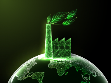 National Workshops on Regional Studies on Innovative Climate Action to Accelerate Green Industrialization in Southern Africa