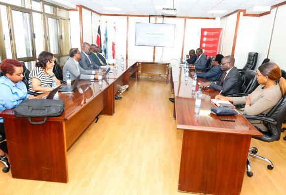 Workshop on “Enhancing tax revenues through reduced profit shifting.”