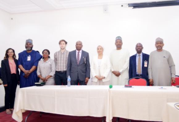 Follow-up Workshop on Estimation of Illicit Financial Flows (IFF) - Nigeria