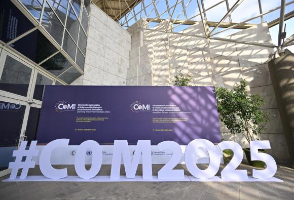 CoM 2025 in pictures - Opening of the forty-third meeting of the Committee of Experts – 12 March 2025