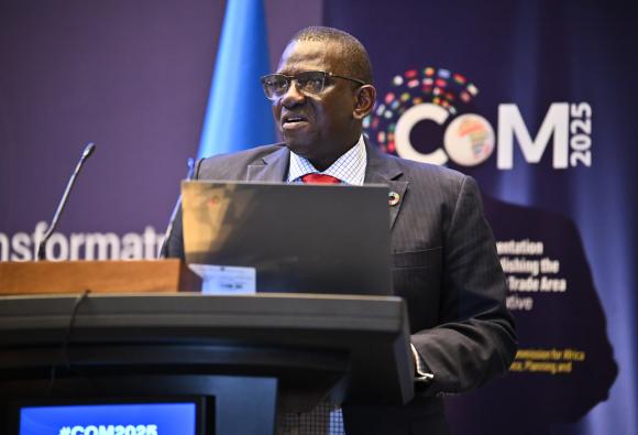Presentation on the forthcoming ECA report on optimizing information and communications technology-related tax regimes for economic growth and job creation in Africa