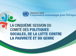 La cinquième session du comité des politiques sociales, de la lutte contre la pauvreté et du genre