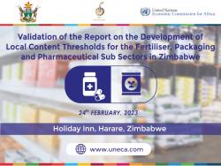 Validation of the report on the development of local content thresholds for the pharmaceutical, fertiliser and packaging sub sectors