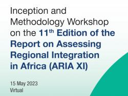 Virtual Inception and Methodology Workshop on the 11th Edition of the Report on Assessing Regional Integration in Africa (ARIA XI)
