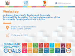 Workshop on impact investing in Zambia and corporate sustainability reporting for the implementation of SDGs in Africa