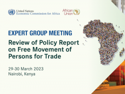 Experts’ Group Meeting (EGM) to Review Policy Report on Free Movement of Persons for Trade: Towards an Accelerated Ratification of the AU Free Movement of Persons Protocol in support of the implementation of the AfCFTA