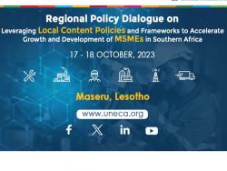 Leveraging Local Content Policies and Frameworks to Accelerate Growth and Sustainable Development of MSMEs in Southern Africa