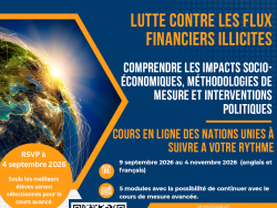 Lutte contre les flux financiers illicites : Comprendre les impacts socioéconomiques, méthodologies de mesure et interventions politiques