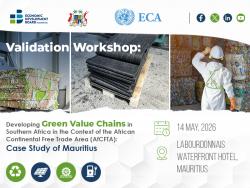 Developing Green Value Chains in Southern Africa in the Context of the African Continental Free Trade Area (AfCFTA): A Case Study of Mauritius 