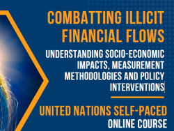 Combatting Illicit Financial Flows: Understanding Socio-Economic Impacts, Measurement Methodologies and Policy Interventions
