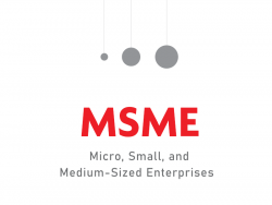 Micro-, Small and Medium-sized Enterprises (MSMEs)