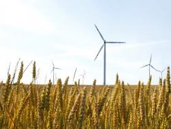 Atelier sur le lien entre la sécurité alimentaire et énergétique en Tunisie