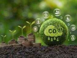 First UNFCCC Focal Point and Stakeholder Meeting on the Establishment of the Southern Africa Alliance on Carbon Markets and Climate Finance