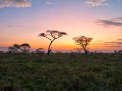 NELGA NA International Knowledge Exchange Forum on Land governance