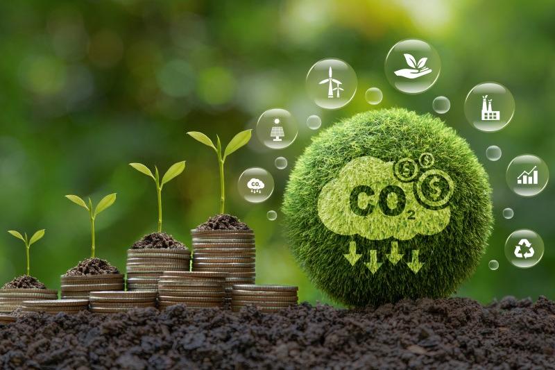 First UNFCCC Focal Point and Stakeholder Meeting on the Establishment of the Southern Africa Alliance on Carbon Markets and Climate Finance