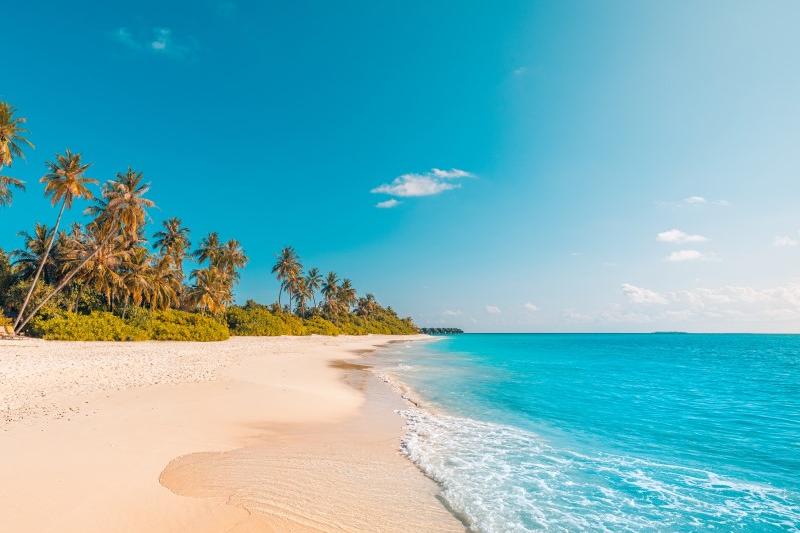 African Island States Climate Commission - AIS High-Level Dialogue on SDG14