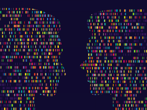 Africa unites to advance the rights and empowerment of women and girls through critical sound gender data