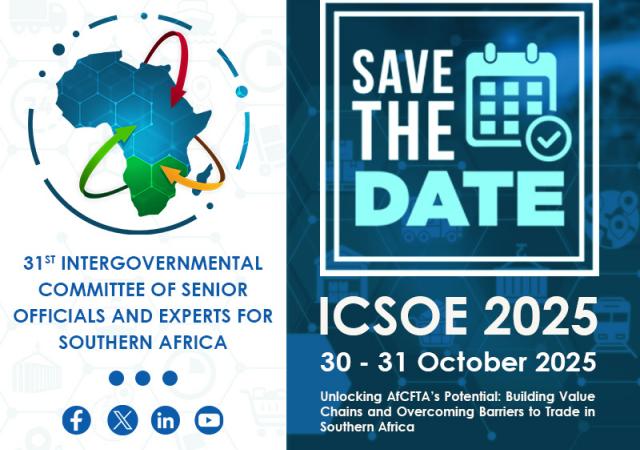 The 31st Meeting of the Intergovernmental Committee of Senior Officials and Experts for Southern Africa