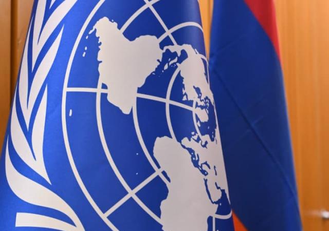(Photos) Briefing by the CBD COP17 Armenian Presidency