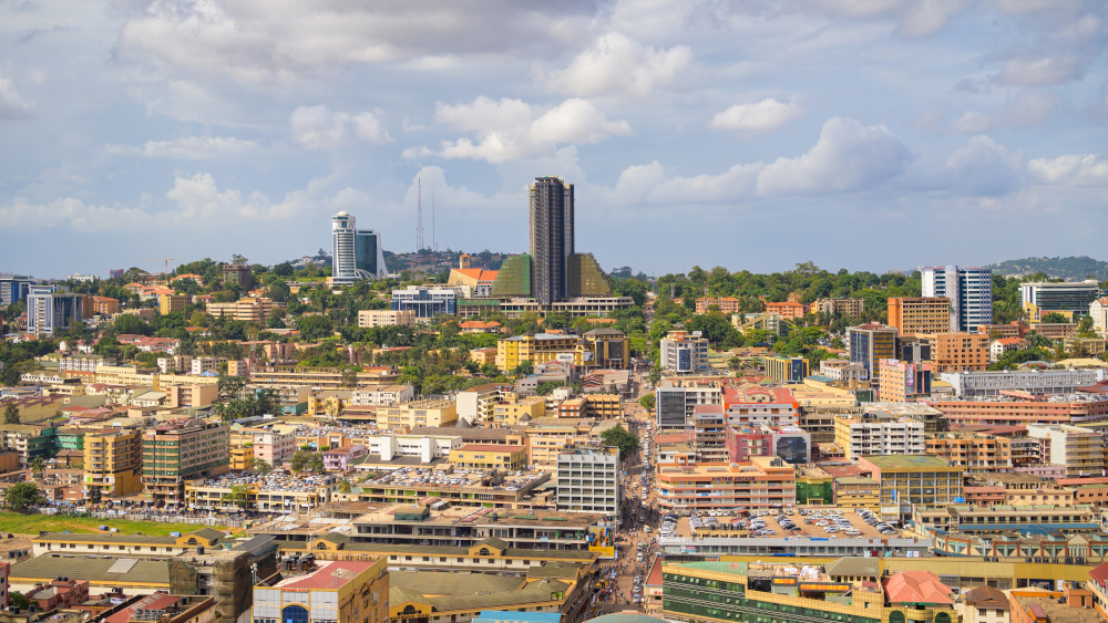 Reflections from the Africa Regional Forum for Sustainable Development: Peer learning is a catalyst for action