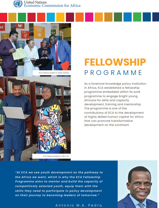 Fellowship Programme Brochure