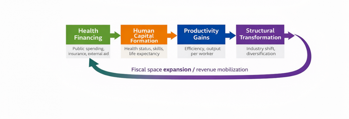Figure 1. From Health Financing to Structural Transformation: A Causal Pathway