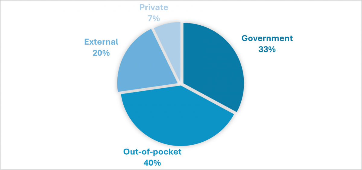 Fig 3: Composition of Health Financing in Africa (Government vs Private vs External, 2023)