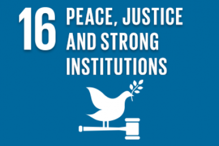 SDG