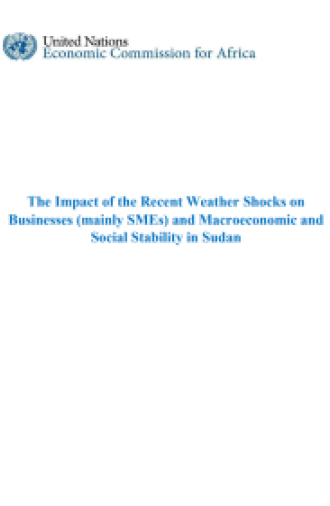 https://repository.uneca.org/handle/10855/49953