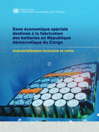 Zone économique spéciale destinée à la fabrication des batteries en République démocratique du Congo