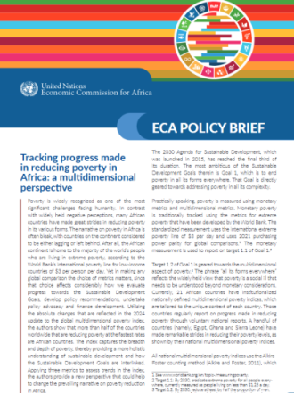 Tracking progress made in reducing poverty in Africa: a multidimensional perspective