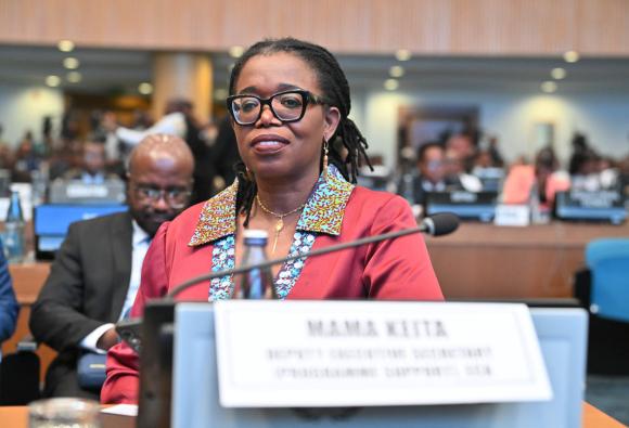 Douzième session du Forum régional africain pour le développement durable