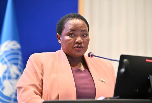 Douzième session du Forum régional africain pour le développement durable