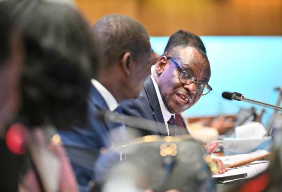 Douzième session du Forum régional africain pour le développement durable