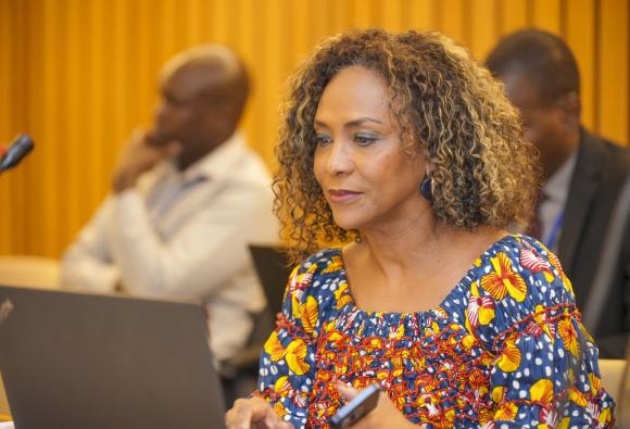 Inaugural High-Level Advisory Group Meeting on Health Financing - September 2026