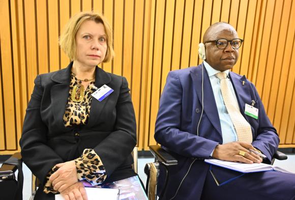 Meeting of the High-level working group on the global financial architecture