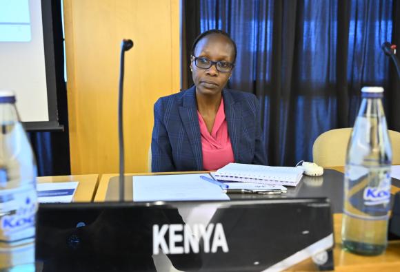 Meeting of the High-level working group on the global financial architecture