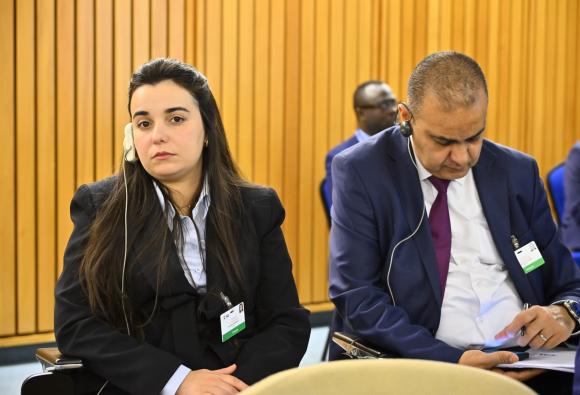 Meeting of the High-level working group on the global financial architecture