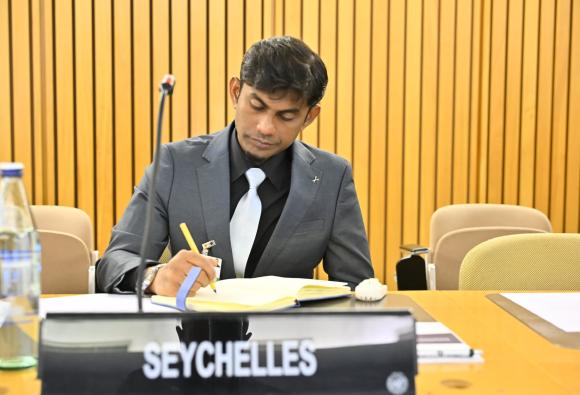 Meeting of the High-level working group on the global financial architecture