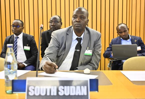 Meeting of the High-level working group on the global financial architecture