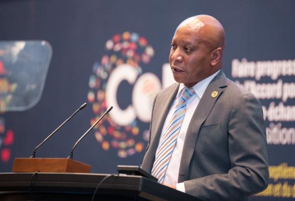 2025 Adebayo Adedeji Memorial Lecture