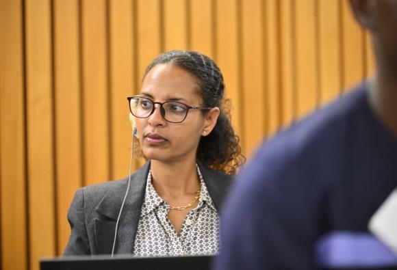 Africa Regional Consultation on the WSIS+20 Outcomes Implementation - Day 1